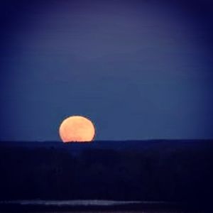 Meet your Posher, Katharine